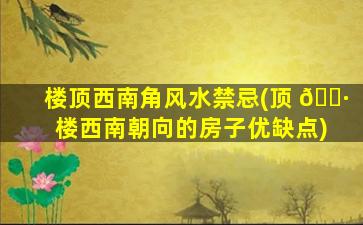 楼顶西南角风水禁忌(顶 🕷 楼西南朝向的房子优缺点)